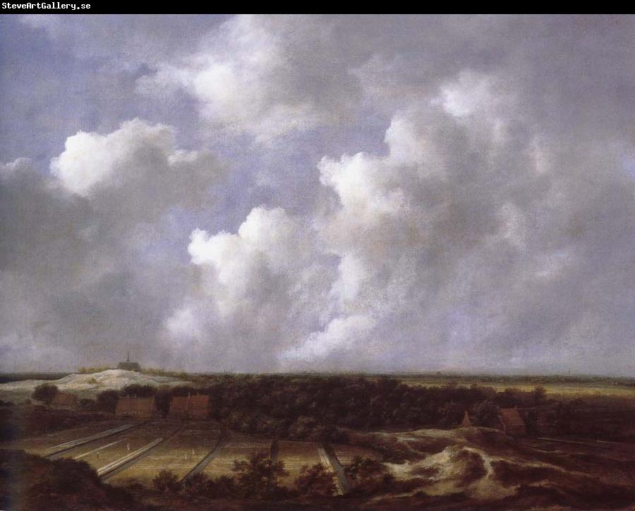 Jacob van Ruisdael View of the Dunes near Bl oemendaal with Bleaching Fields